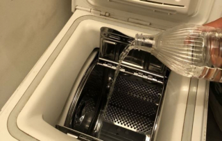 Illustration de l'article : Moisissures dans le tiroir de la machine à laver : des astuces pour s'en débarrasser définitivement