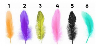 Illustration de l'article : Test : une plume suffit à révéler qui vous êtes réellement !