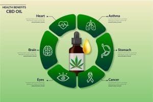 Illustration de l'article : CBD cannabidiol capsules : quels sont ses avantages ?